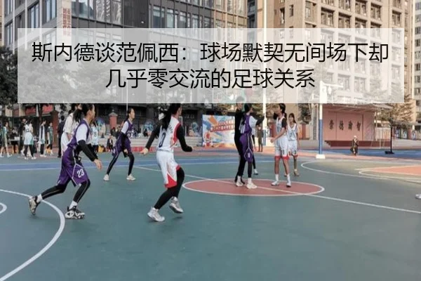 斯内德谈范佩西:球场默契无间场下却几乎零交流的足球关系